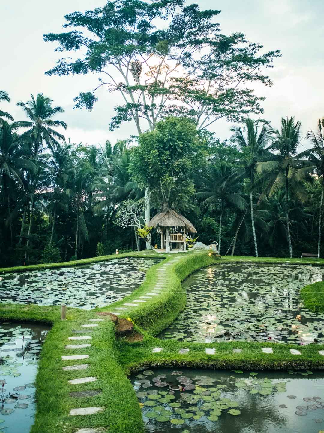 Luxury Tours: Unforgettable Travel Experiences