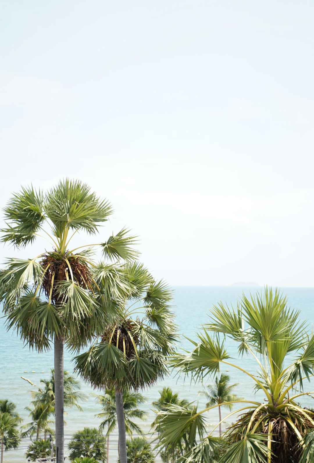 Top 5 Star Hotels in Dubai: Luxury Stay Guide